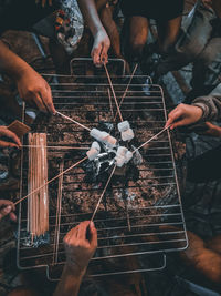 Circle of friends enjoying marshmallows smores over a griller.