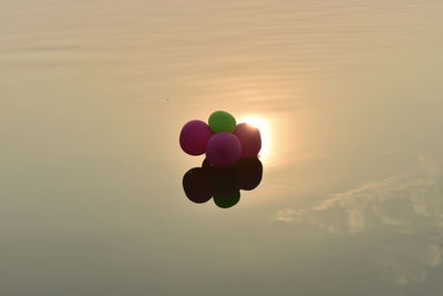 Multi colored balloons in sky during sunset