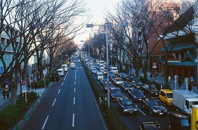Road amidst bare trees in city against sky