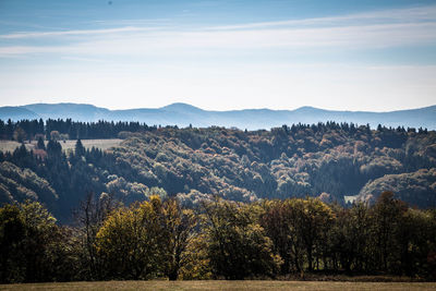 Scenic view of trees and mountains against sky