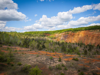 Scenic view of field against sky