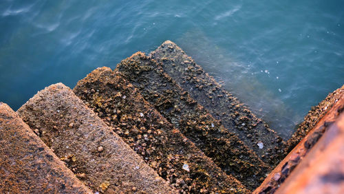 Concrete stairway old fishing port's with barnacle reef and sea water background.
