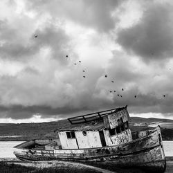 Birds flying over cloudy sky