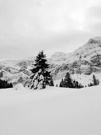 Scenic view of snow covered mountains against sky