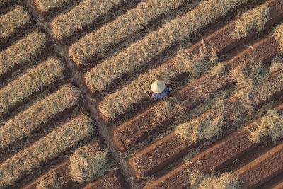 soil