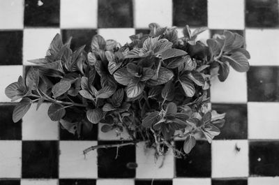 Close-up of flower bouquet