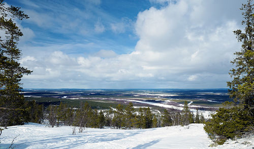 Scenic view of snow covered trees against sky