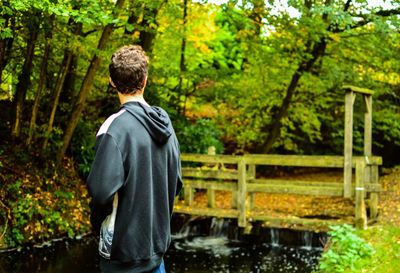 Rear view of a man on tree