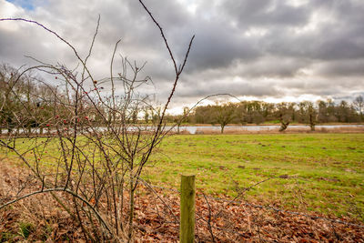 Scenic view of field against sky