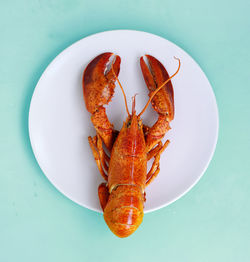 Crayfish on a plate, blue background