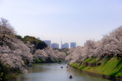 Scenic view of river against clear sky