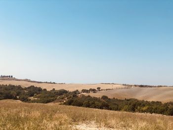 Scenic view of landscape against clear sky