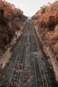 Railroad tracks amidst plants against sky