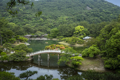 High angle view of bridge over river in forest