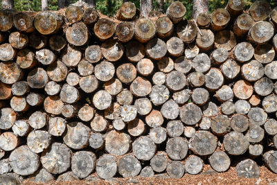 Stacked cut wood logs for the fireplace