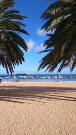 Scenic view of beach against blue sky