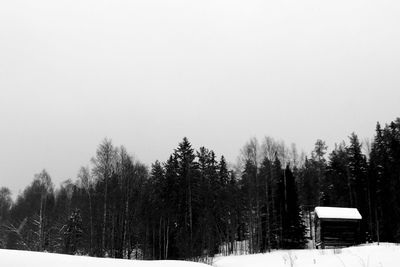 Trees on snow covered landscape against clear sky