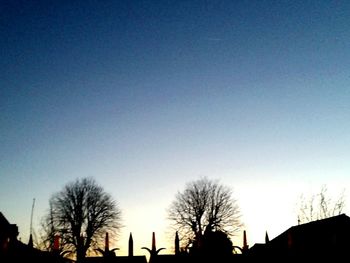 Low angle view of bare tree against blue sky