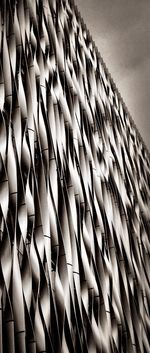 Low angle view of row against the sky