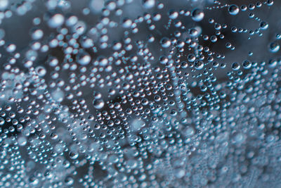 Full frame shot of water drops on plant