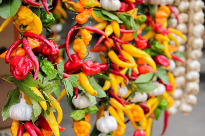 Close-up of chili peppers for sale in market