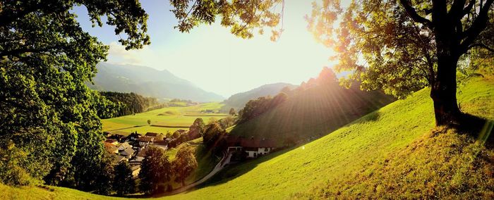 Scenic view of landscape against sky