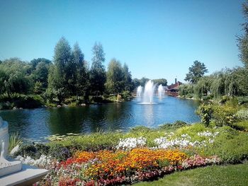 View of trees in park against clear sky