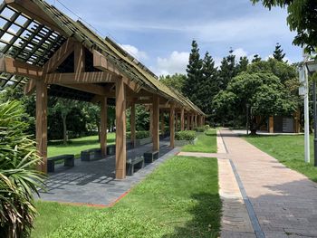 Footpath amidst trees and plants against sky