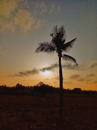 Silhouette palm trees on field against sky at sunset