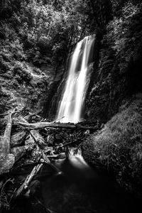 Scenic view of waterfall in forest