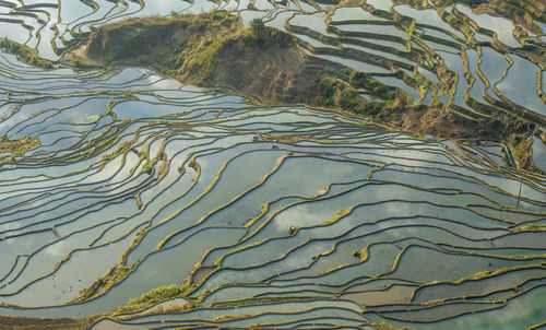 High angle view of leaf on land
