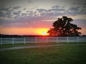 Scenic view of field against sky at sunset