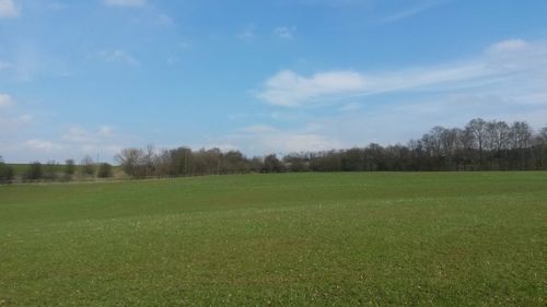 Scenic view of grassy field against sky