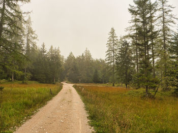 Road amidst trees against sky