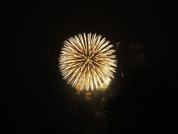 Low angle view of firework display at night