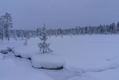 Scenic view of snow covered field against sky