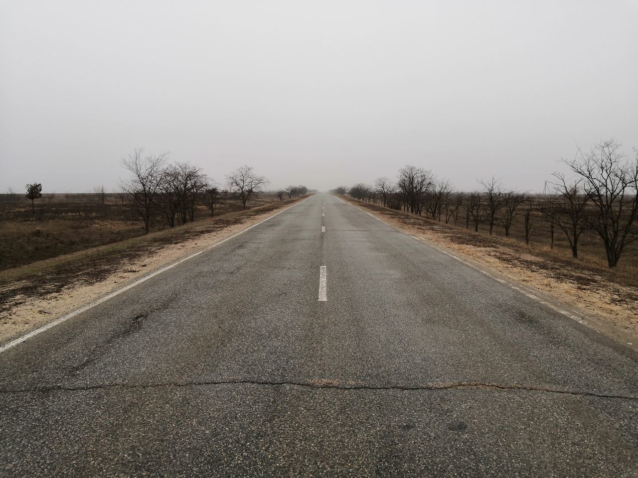 ROAD AMIDST TREES AGAINST SKY