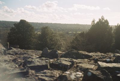 View of landscape against sky