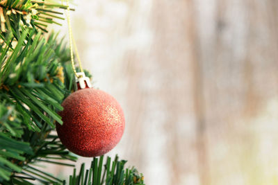 Christmas tree hangs christmas ball