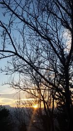 Low angle view of silhouette trees against sky at sunset