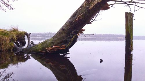 Scenic view of lake against clear sky