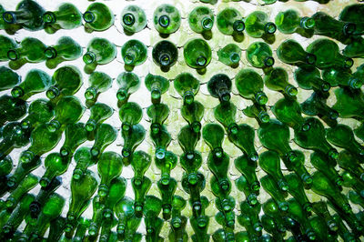 Full frame shot of green bottles