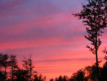 Low angle view of silhouette trees against sky at sunset