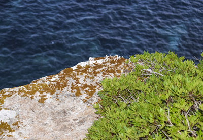 Close-up high angle view of sea