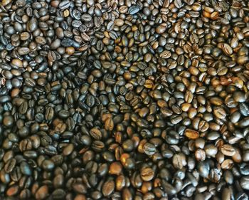 Full frame shot of coffee beans