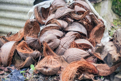 Stacked coconut husks