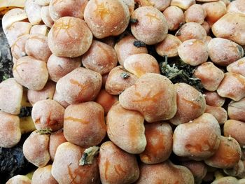 Full frame shot of mushrooms for sale