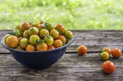 Close-up of fruits in bowl on table