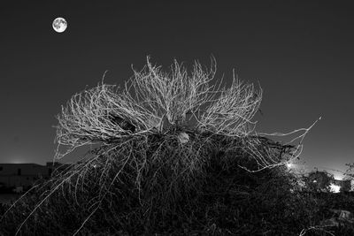 Low angle view of illuminated built structure