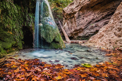 Scenic view of waterfall in forest